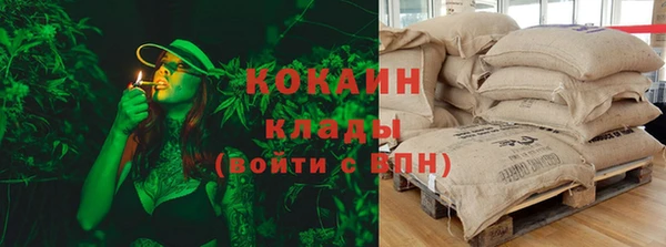 индика Алзамай