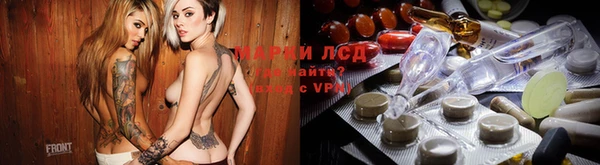 индика Алзамай