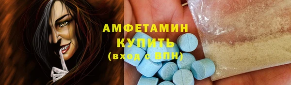 индика Алзамай