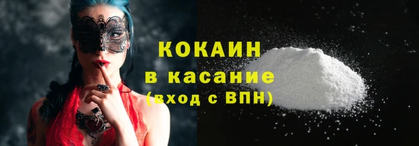 индика Абаза