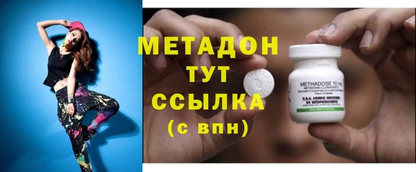 индика Абаза