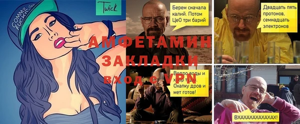 индика Абаза