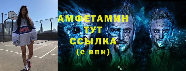 индика Алзамай