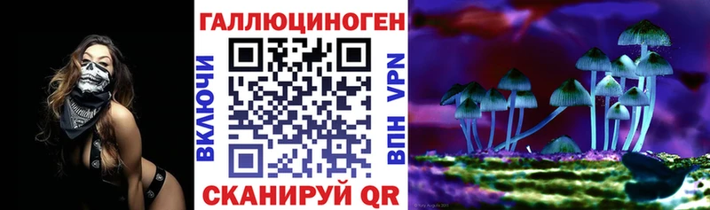даркнет какой сайт  Пошехонье  Галлюциногенные грибы прущие грибы 